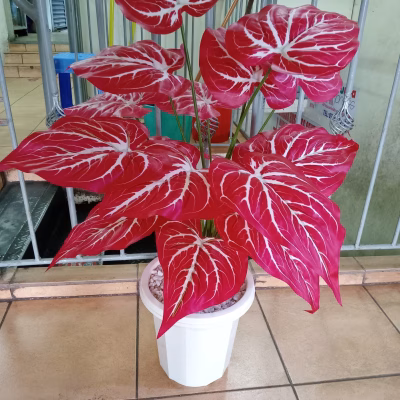 Rose Artificial Desk Plant