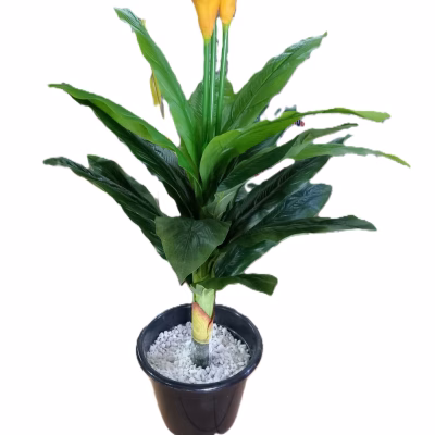 Clivia Artificial Potted Flower Plant