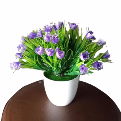 Rose Grass Desk Plant