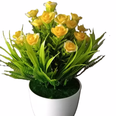 Rose Bonsai Desk Plant