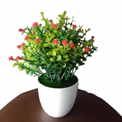 Budded Hypericum Desk Plant