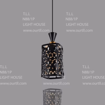 T.L.L N88-1P Black And Gold Pendant Light