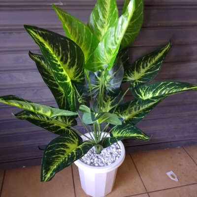 Medium-size Foliage Artificial Plants