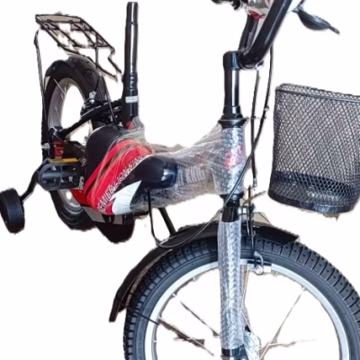 Lion-King Kid`s Bikes with Training Wheels