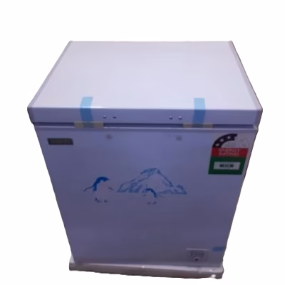 Ecomax BD-119 119L Chest Freezers