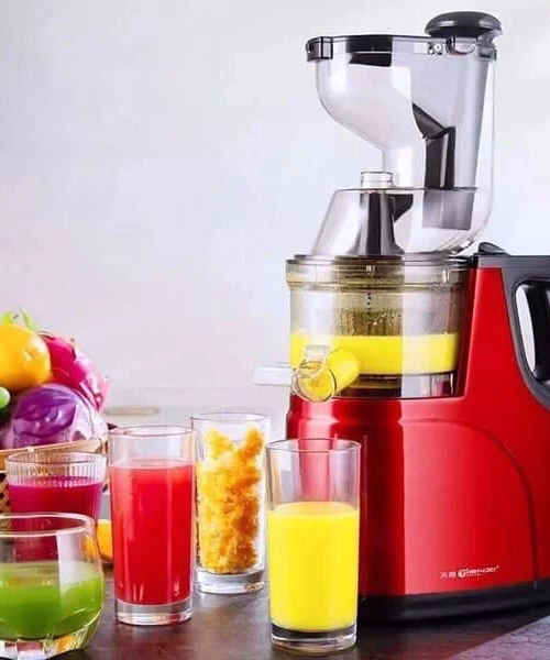 Starlux ST-1685 Slow Juicer