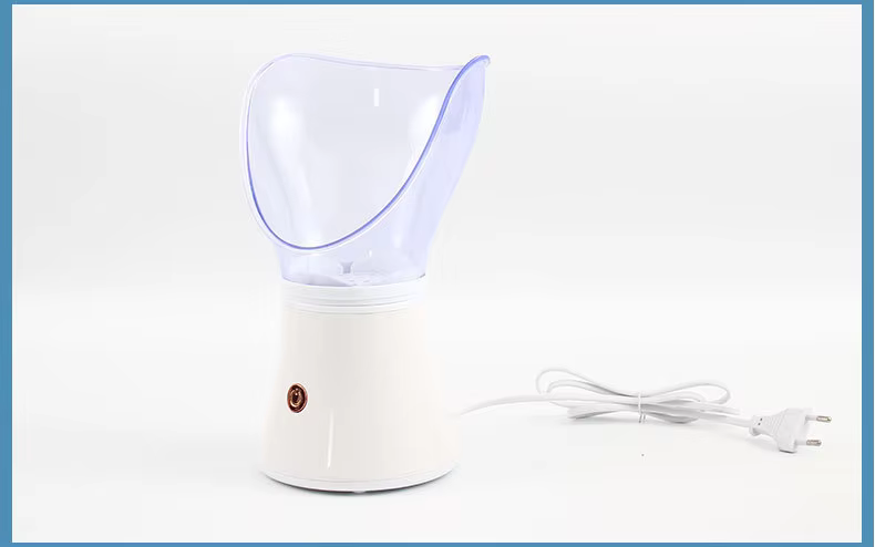 Facial Steamer