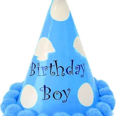 Birthday/Party Hats
